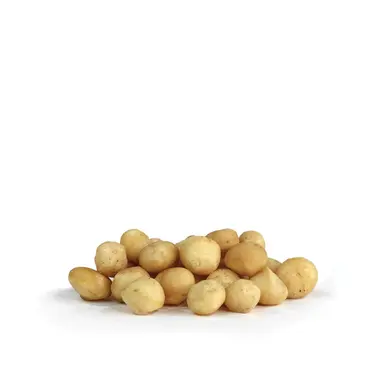 Macadamia Nuts, Whole, Raw & Unsalted, Regenerative Organic