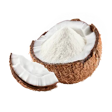 Organic Coconut Flour