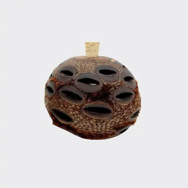 Banksia Aroma Pod – Reusable Natural Diffuser for Your Favourite Essential Oil
