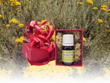 Tinh dầu Immortelle hữu cơ 5ml Hộp quà tặng
