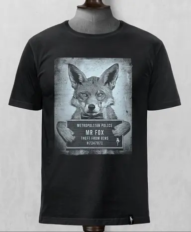 Mr Fox