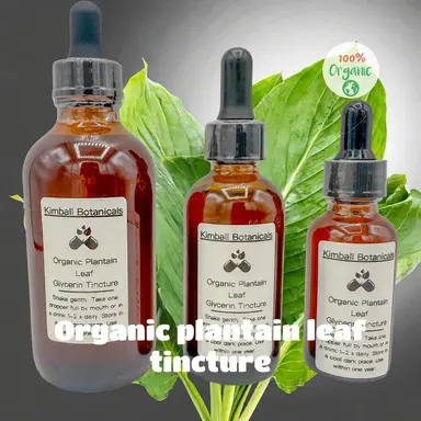 USDA Certified Organic Handcrafted Plantain Leaf Glycerin Tincture double extracted