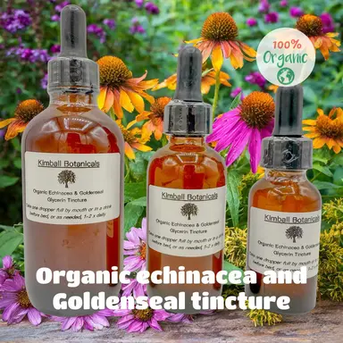 USDA Organic Echinacea Goldenseal Wild Harvested Glycerin Tincture