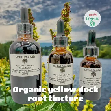 USDA Organic Yellow Dock Root Double Extracted Glycerin Tincture sustainably harvested NON GMO