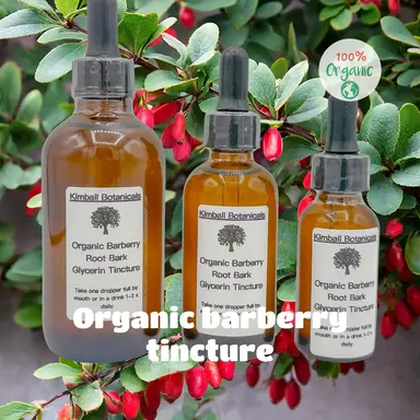 USDA Certified Organic Barberry Root Glycerin Tincture Double Extracted NON GMO