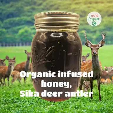 USDA Certified Organic Deer Antler Infused Raw Wildflower Honey