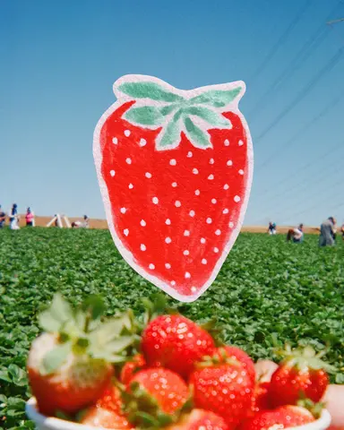 Polka Dot Strawb
