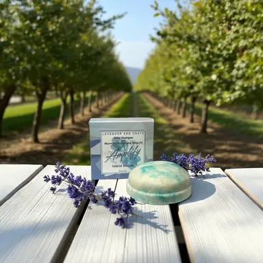 Amplify Solid Shampoo Bar