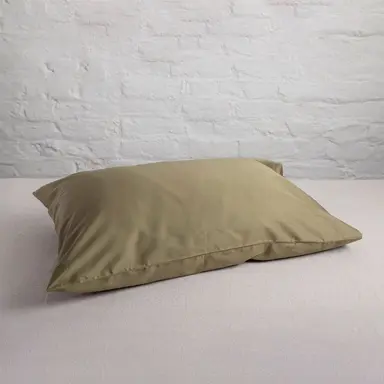 300TC Organic Sateen Standard "Housewife" Pillowcase – Buttery Cotton with Luxe Feel - Sea Fern