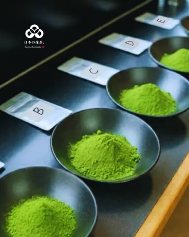 Wholesale Matcha