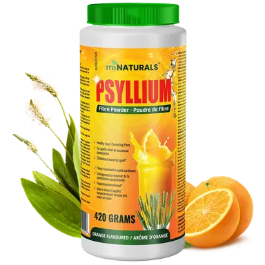 Psyllium Husk Powder 420 g - Orange