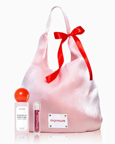 The Ballerina Bag