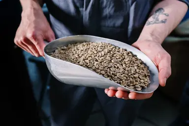 Hạt cà phê xanh Decaf Central America Blend