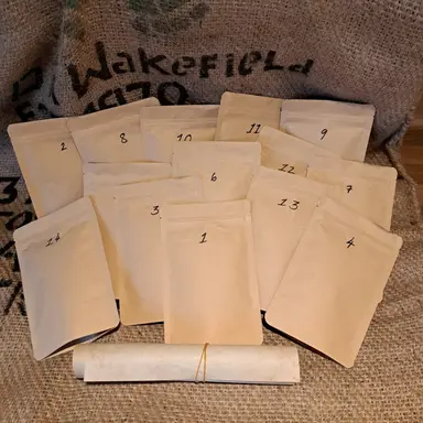 Coffee Taster Pack