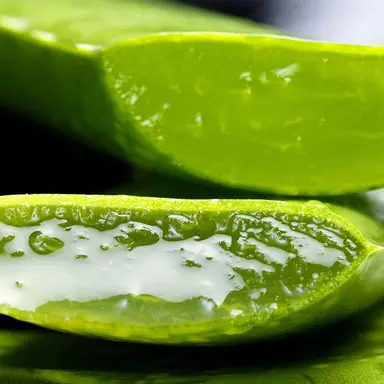 Aloe Vera Leaf Juice 99%