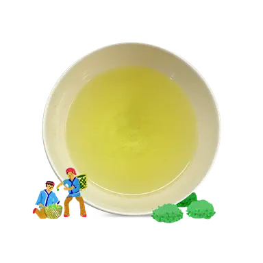 Bancha - Autumn Green Tea