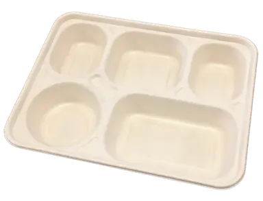 5 Comp Sugarcane Lunch Box - Natural