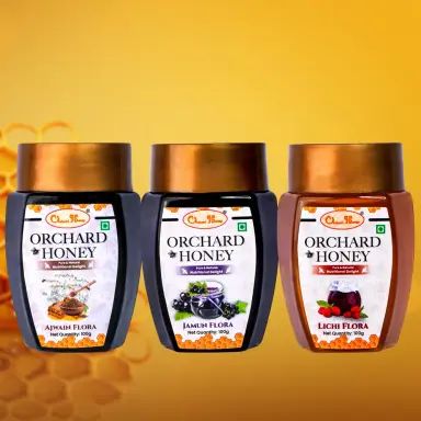 Orchard Honey Combo Pack Jamun Lychee & Ajwain 100Gm Pack of 3