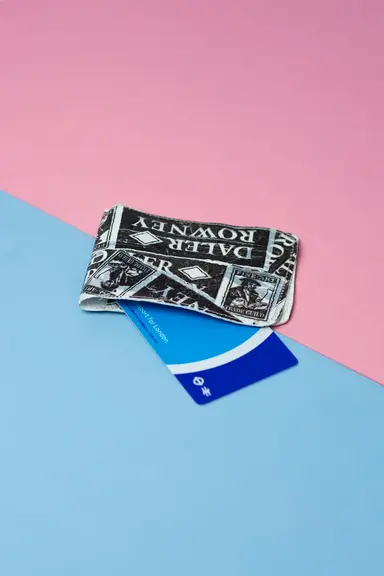 Card wallet: Daler Rowney