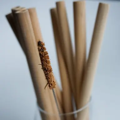 10 Bamboo Straws + 1 Cleaning Brush - Pack||Ensemble de 10 Pailles en Bambou + 1 Brosse Nettoyante