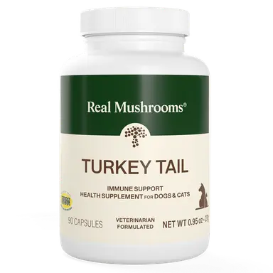 Turkey Tail Extract Capsules for Pets