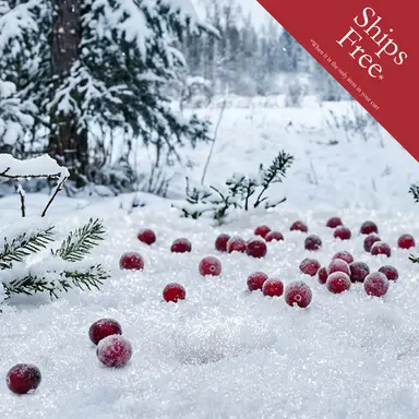 Sample Set | Winter Berry