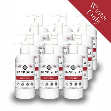Hand Soap | Winter Berry | 16 oz Pump Bottle