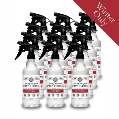 Lots of Purpose Spray Cleaner | Winter Berry | 16 oz Bottle