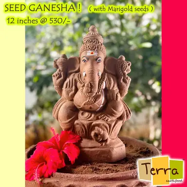 Terra-Seed Ganesha 12 inch