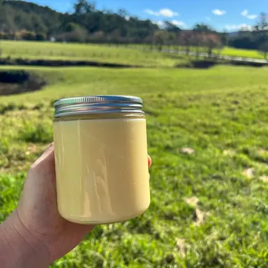 Beef Tallow - Jar - 500ml