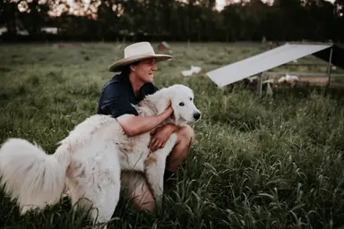 Dog Bones - 1kg