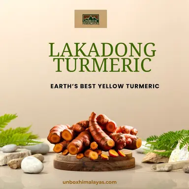 Haldi Lakadong Turmeric Powder (Pure & Organic) 200Gm