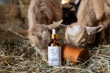 Serum Tóc Hữu Cơ Revive & Renew