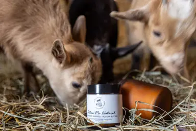 Organic Lavender Tallow Butter
