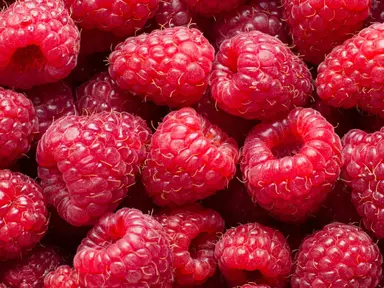 Red Raspberry Whipped Tallow