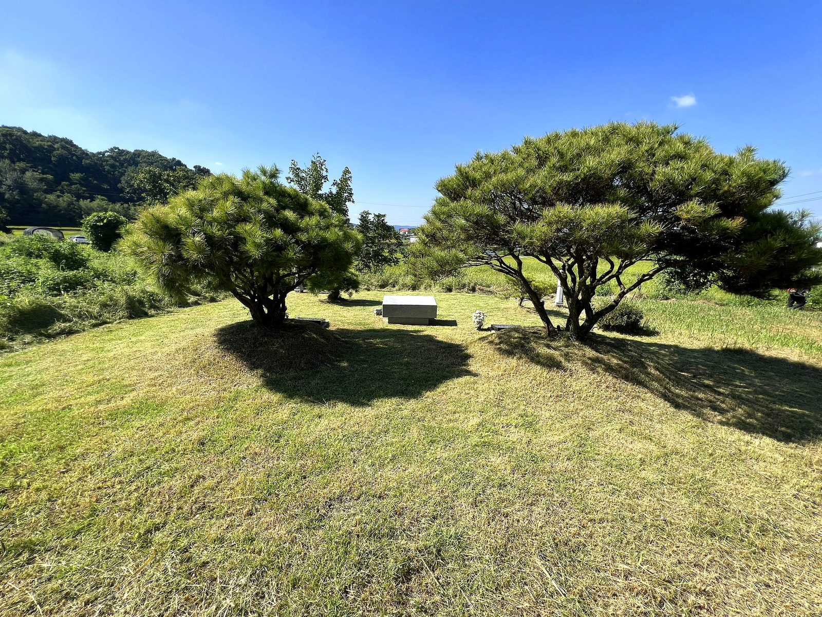 충청북도 청주 흥덕구 실제 작업 사진