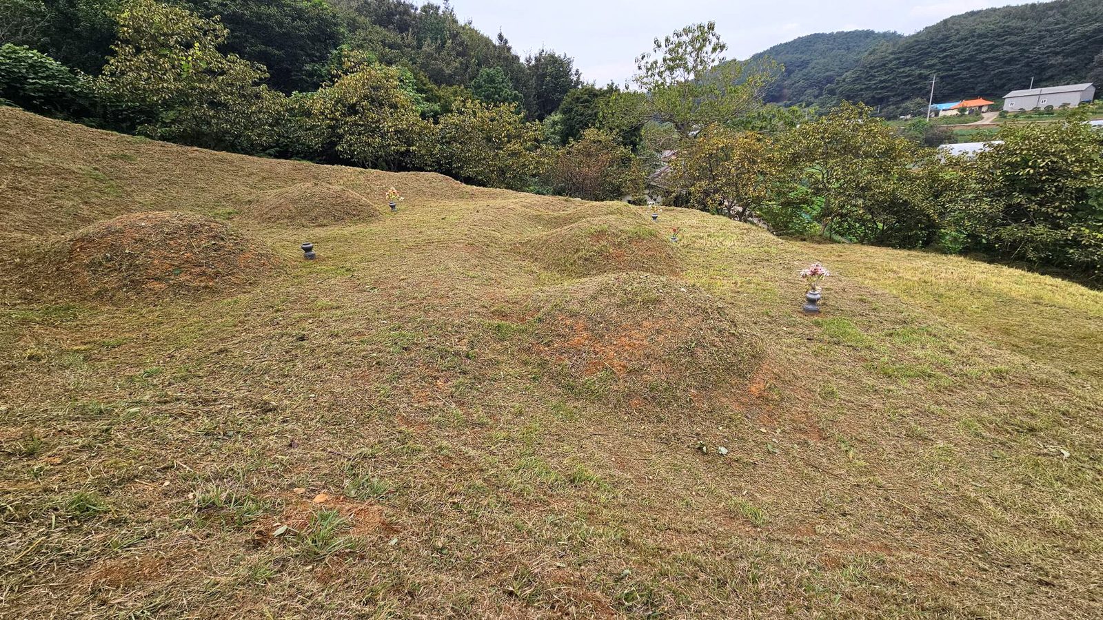 충청남도 당진 실제 작업 사진