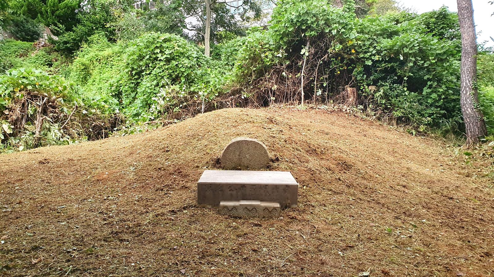 울산광역시 울주 실제 작업 사진
