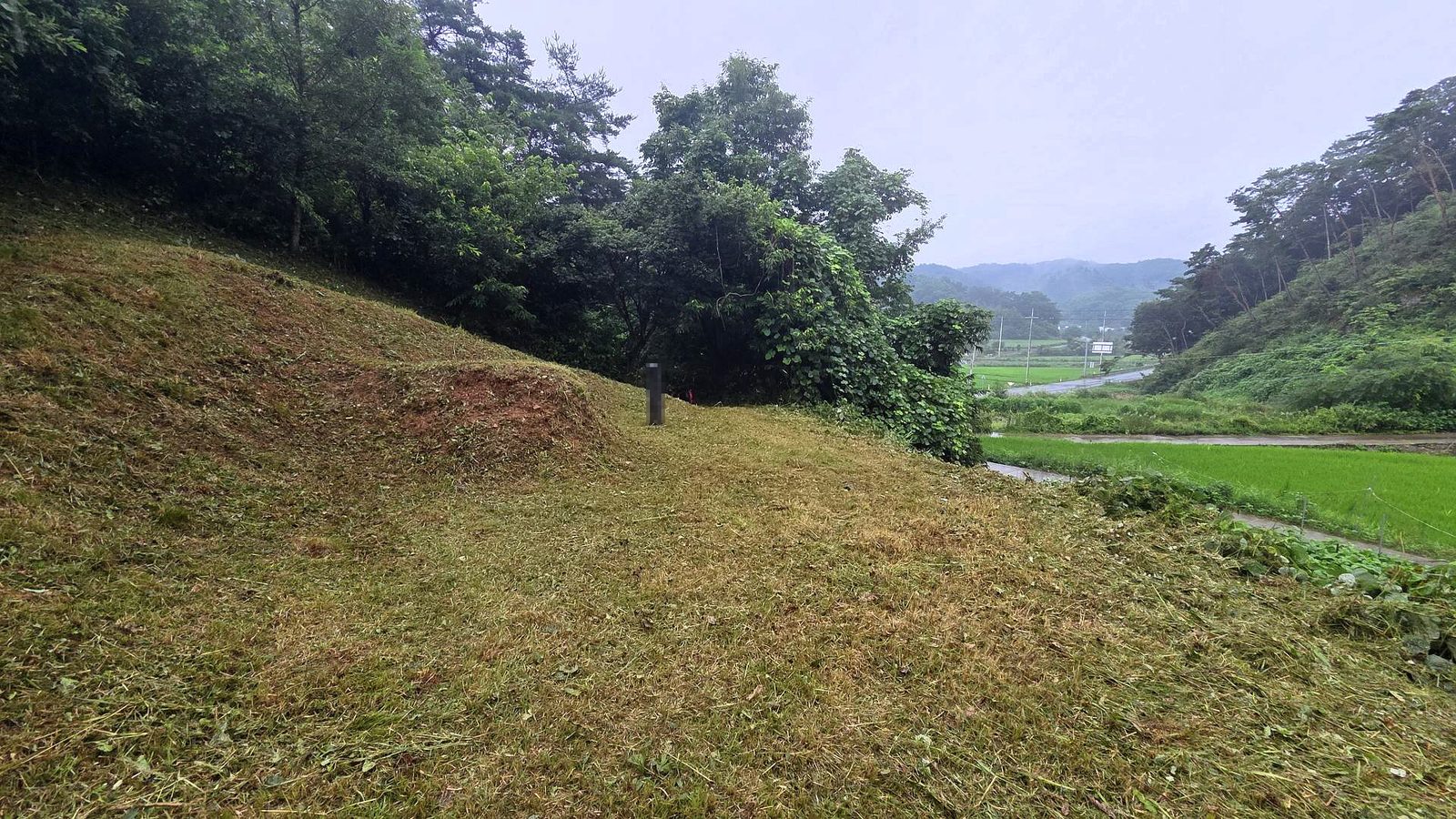 충청남도 청양 실제 작업 사진