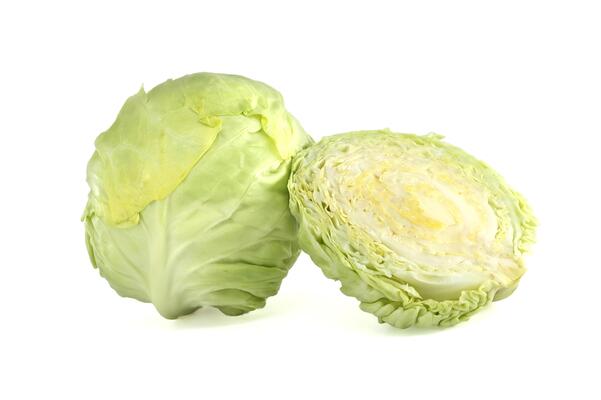 Cabbage