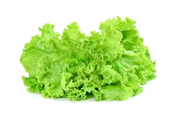Lettuce