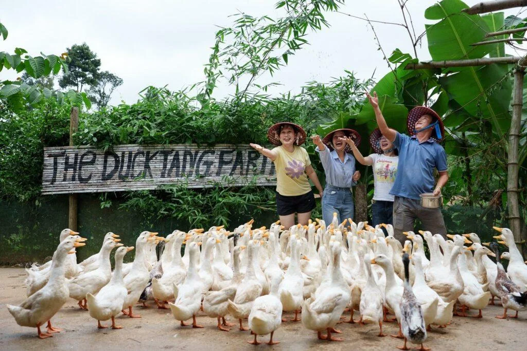 Bong Lai Valley & Duck Stop Experience