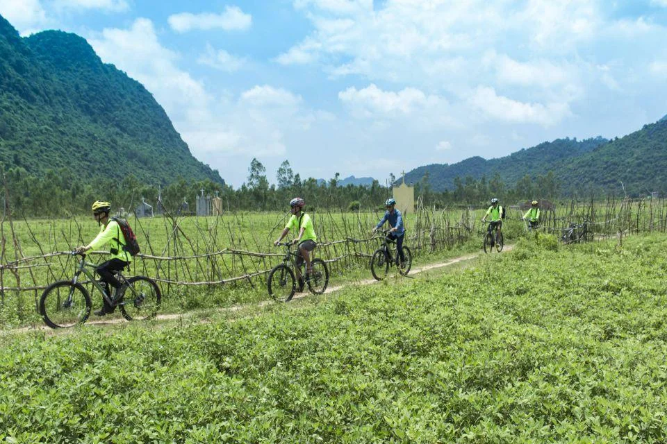Lush riverside countryside scenery in Phong Nha
