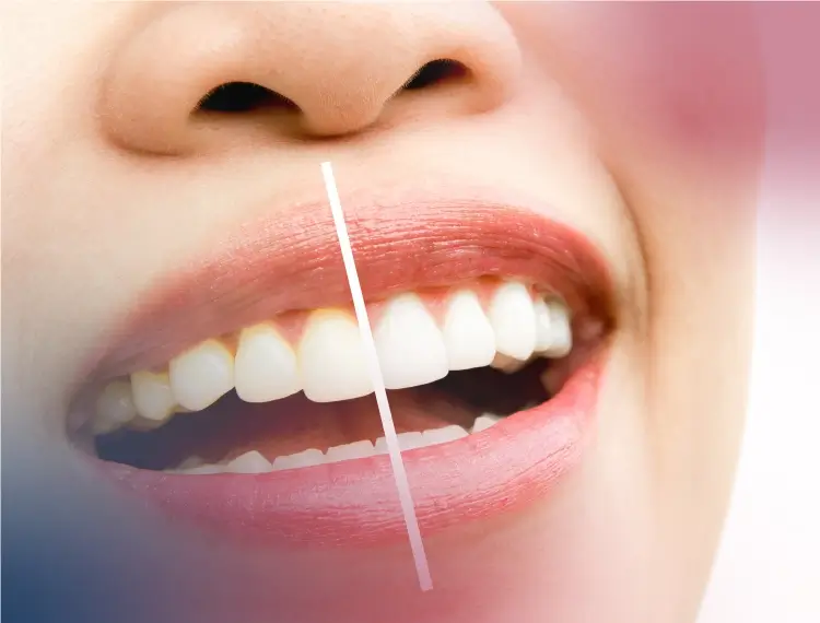 greensboroughdental