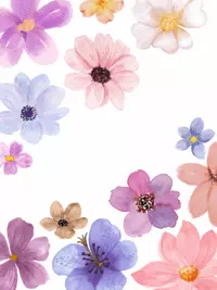 Free Birthday Card - Floral Wishes Online