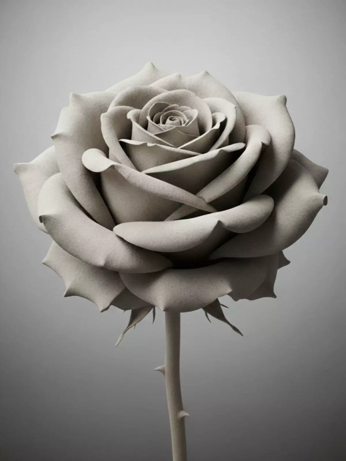 Boss Day card featuring a rose with a concrete texture, industrial design, contrast between delicate floral and rough concrete, suitable for male and female bosses