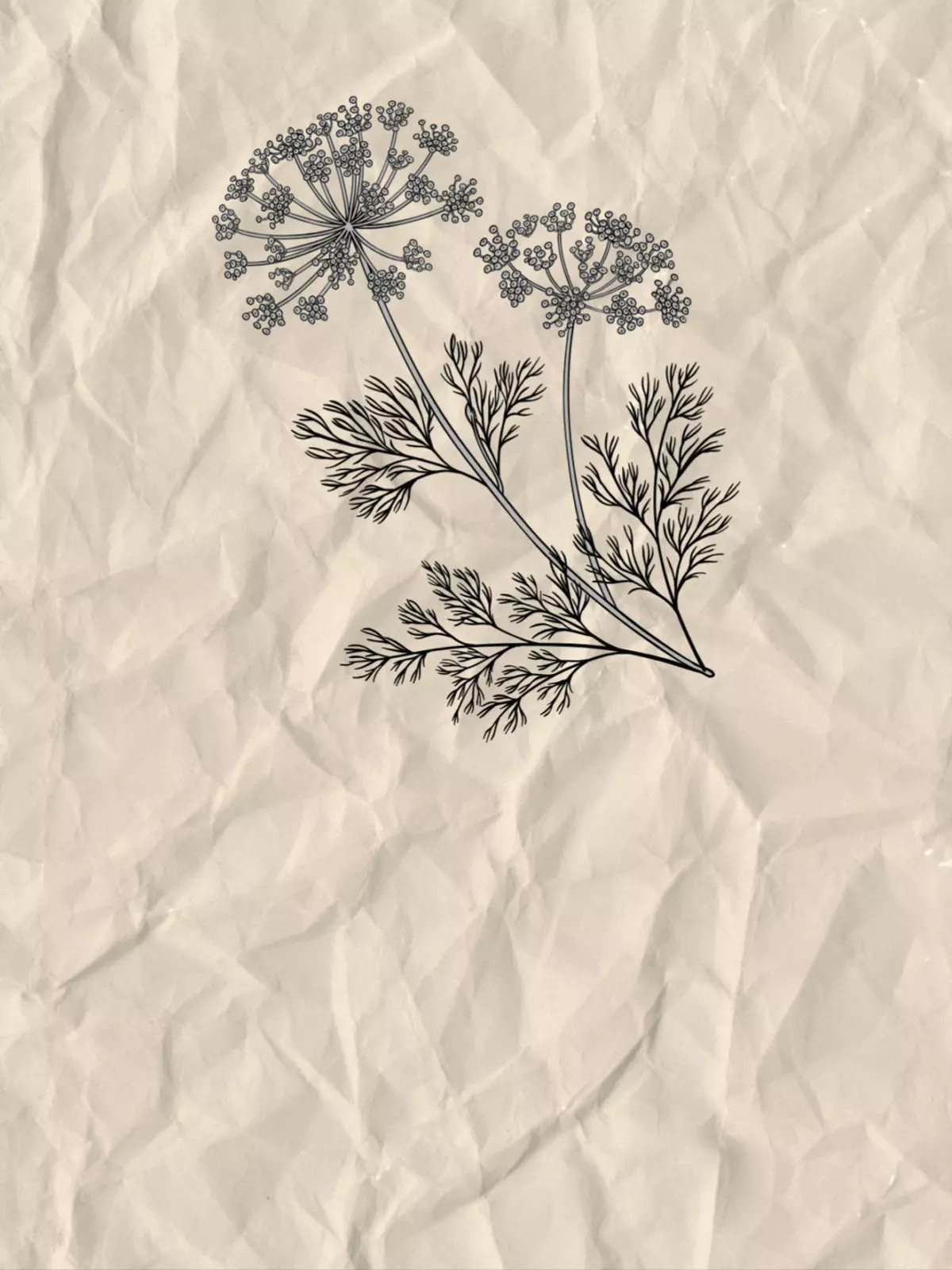 Minimalist baby shower card featuring a delicate sprig of baby's breath, simple and elegant design.