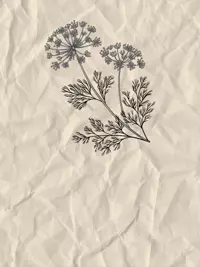 Free Baby Shower Card - Minimalist & Elegant