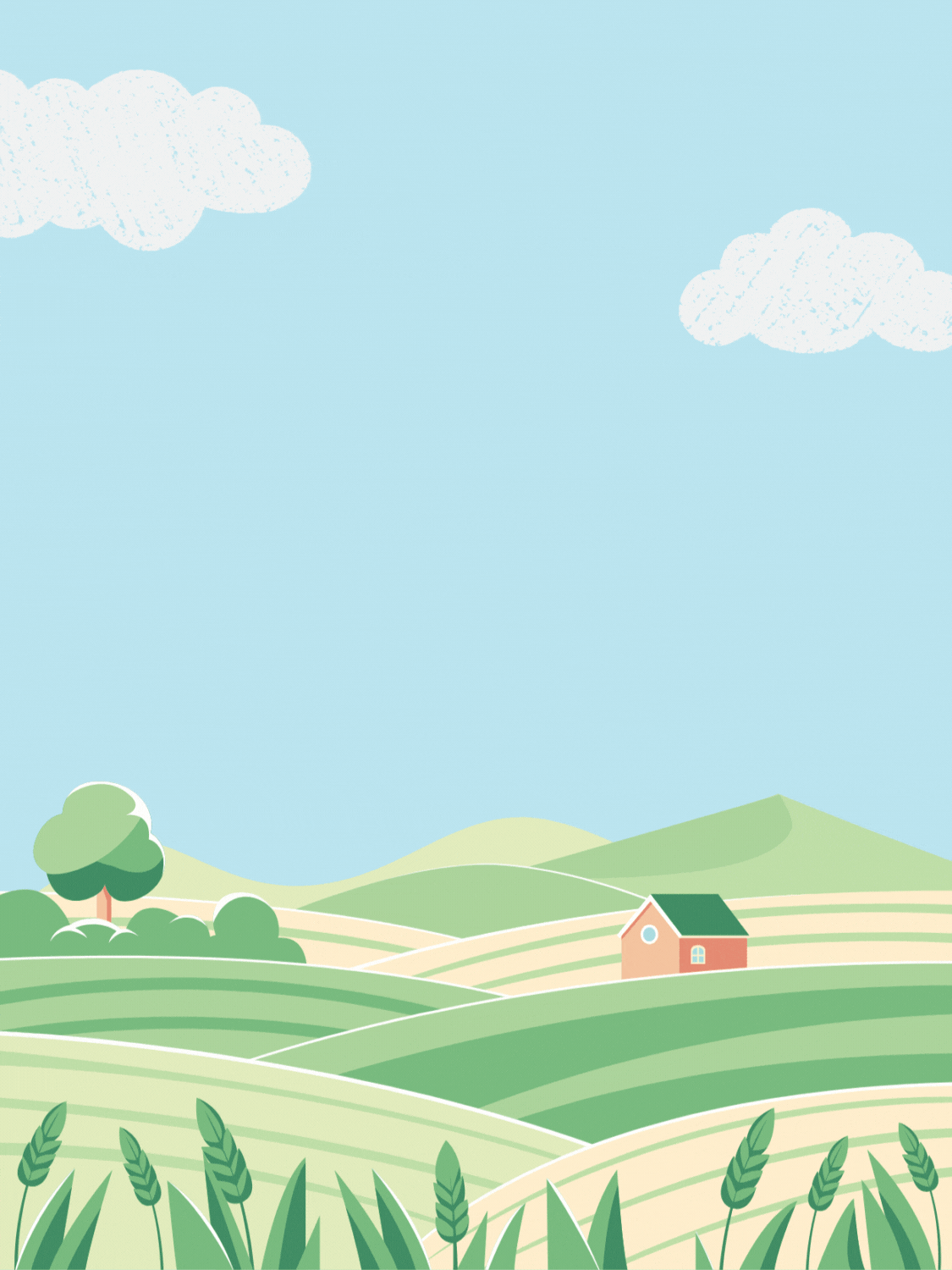 Mediterranean Congrats