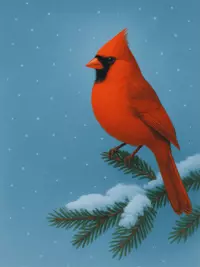 Free Christmas Card - Send a Winter Cardinal Greeting!